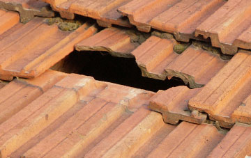 roof repair Terrington St John, Norfolk