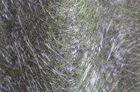 Terrington St John fibreglass roof work